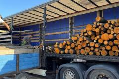 photo_2025-09-06_18-47-49