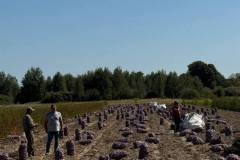 photo_2025-09-07_17-39-15