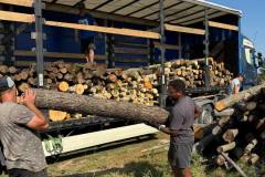 photo_2025-09-10_10-22-13