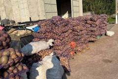 photo_2025-09-26_19-56-35